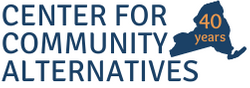 Interborough Developmental & Consultation Center logo